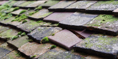 Ludgershall roof repair costs